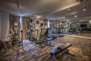 Fitness centrum a/nebo fitness zařízení v ubytování Castle Hotel, Autograph Collection