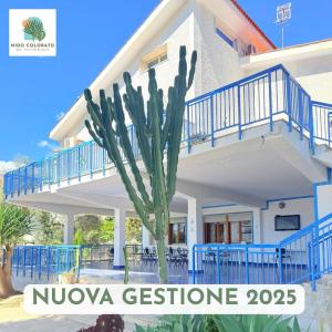 Foto dalla galleria di Nido Colorato B&B a Fontane Bianche