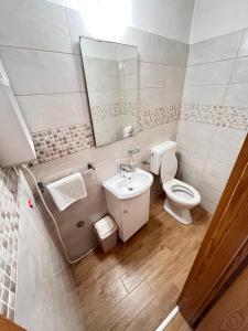 a bathroom with a toilet and a sink and a mirror at Lavanda Apartment in Stari Grad +6 photos