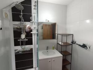 a bathroom with a sink and a shower with a mirror at Chez Oppo in Charleroi