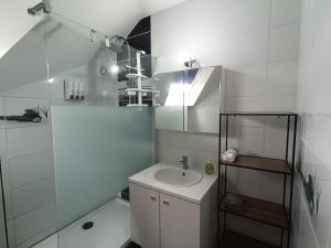 a white bathroom with a sink and a shower at Chez Oppo in Charleroi +10 photos
