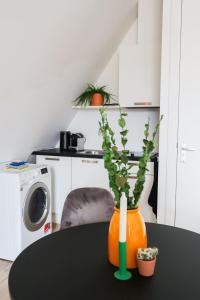 Dapur atau dapur kecil di Saftliving