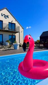 a pink flamingo float in a swimming pool at Loox Ostrovo- Boutique House-noclegi nad morzem in Ostrowo