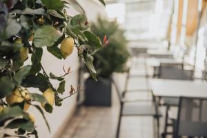Restoran või mõni muu söögikoht majutusasutuses Feichter Hotel & Bistro