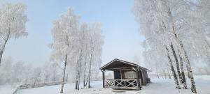 a small cabin in a snow covered forest with trees at Siedlisko w otulinie Drawskiego Parku Krajobrazowego z własnym stawem in Połczyn-Zdrój +28 photos