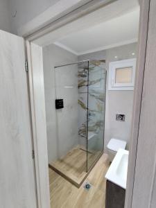 a glass shower in a bathroom with a toilet at Twin Stars in Drama