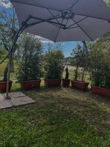 Fotografija u galeriji objekta Casale Chiara & Giulia u gradu Santa Caterina Dello Ionio Marina +27 fotografija