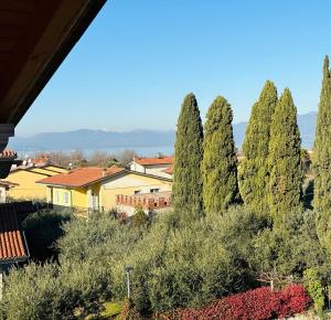 a group of cypress trees in a yard at La Casetta Lazise in Lazise