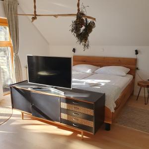 Μια τηλεόραση ή/και κέντρο ψυχαγωγίας στο River House Radolca