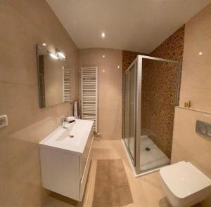 Un baño con lavabo, ducha e inodoro. en Kuća Gabriele, en Ljubuški 10 fotos más