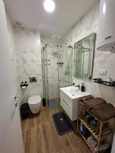 Un baño con ducha, inodoro y lavabo. en Apartman LuJ Zlatibor, en Zlatibor