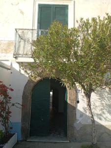 Φωτογραφία από το άλμπουμ του Home penza σε Marina di Casalvelino