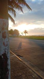 una palmera al lado de una carretera en Pousada do Vaqueiro, en Peruíbe