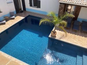 a blue swimming pool with a palm tree in it at Le Patio Bleu in La Crau