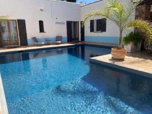 a swimming pool with a palm tree in the middle at Le Patio Bleu in La Crau