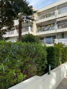 ein Apartmenthaus mit einer Palme davor in der Unterkunft Charmant Studio in Cannes