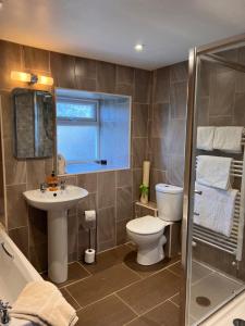a bathroom with a toilet and a sink and a shower at Riding house Farm Cottages in Castleton +47 photos