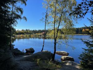 a view of a lake with trees and rocks at Fichtellofts in Bischofsgrün