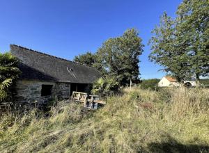 an old stone house on a grassy hill at Menhirs et Moutons Ouessant in Plouëc-du-Trieux