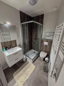 a bathroom with a shower and a sink and a toilet at Studio Lumineux Proche Centre et Port in Port-Vendres