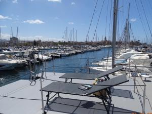 阿尔盖罗Alghero Houseboat Seabreeze 2的停靠在码头的一群船