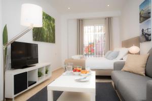 - un salon avec un canapé et une télévision dans l'établissement Poeta Llombart Apartment, à Valence