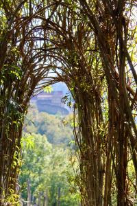 Fotografie z fotogalerie ubytování Pensiunea Agora v destinaci Cisnadioara