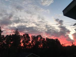 um pôr-do-sol com árvores em frente a um céu nublado em Cabañas Rewe del Maulllin em Puerto Varas