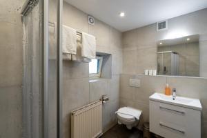 a bathroom with a toilet and a sink and a mirror at Studio Nonntal in Salzburg