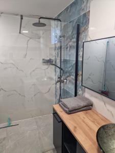 a bathroom with a shower with a sink and a mirror at Apartman Taborska Juh in Košice