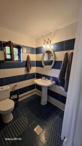 a blue and white bathroom with a sink and a mirror at La Plantă-Therme Airport Bucharest in Baloteşti