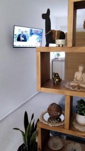 サン・ラファエルにあるEl Principitoのテレビと木製の棚が2つあるリビングルーム