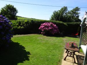 a garden with a bench and pink flowers at Yr Hen Felin - The Old Mill B&B in Morfa Nefyn