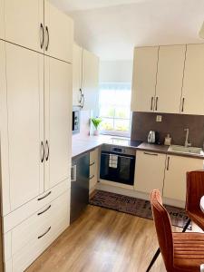 Kuhinja oz. manjša kuhinja v nastanitvi Wellness Apartmány Andrea