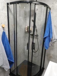 a shower with a glass door with blue towels at Pigwowcowe Zacisze in Grabowa