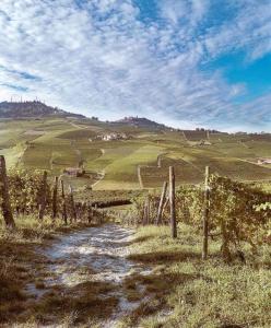 Foto dalla galleria di Le Tre Betulle a Bossolasco