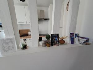 Kuchnia lub aneks kuchenny w obiekcie Appartement de charme Rouen