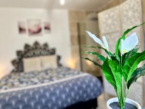 Postel nebo postele na pokoji v ubytování La Chambre Améthyste