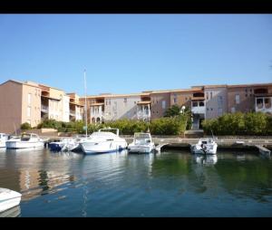 a group of boats are docked in a harbor at Appartement 2 chambres dans la marina in Saint-Cyprien-Plage