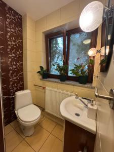 a bathroom with a toilet and a sink and a window at Pokój Cień Paproci in Białla