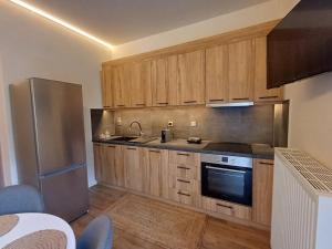 a kitchen with wooden cabinets and a stainless steel refrigerator at Harmonia Appartment in Trikala in Tríkala