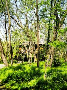 Foto da galeria de Porumbacu Treehouse em Porumbacu de Sus