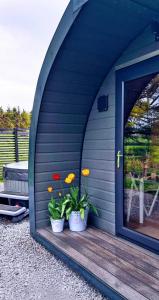 a blue building with two potted plants on a porch at Odli Glamping - Deri in Welshpool