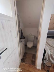 a small bathroom with a toilet and a door at Apartament na Dziole in Lipnica Wielka
