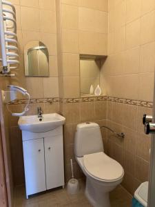 a bathroom with a toilet and a sink at Pokoje u Walkoszów in Ząb