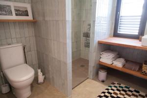 a bathroom with a toilet and a shower at Maison colorée dans un jardin in Gaillac