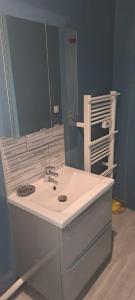a bathroom with a sink and a mirror at Appartement T1 central pour cures courts séjours in Saint-Paul-lès-Dax