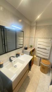 a bathroom with a sink and a mirror and a toilet at Villeneuve Loubet Studio 4 p rez de jardin a 5 mn de la mer in Villeneuve-Loubet
