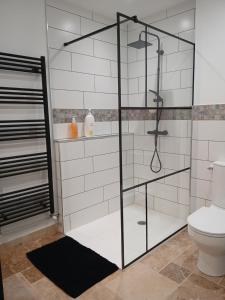 a bathroom with a shower and a toilet at Maison du Bonheur, gîte Les Tilleuls in Le Pin +14 photos