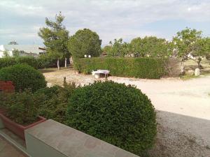 Zahrada ubytování Tzitzi Pistachio Villa